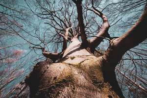 Výkonnostní titanismus