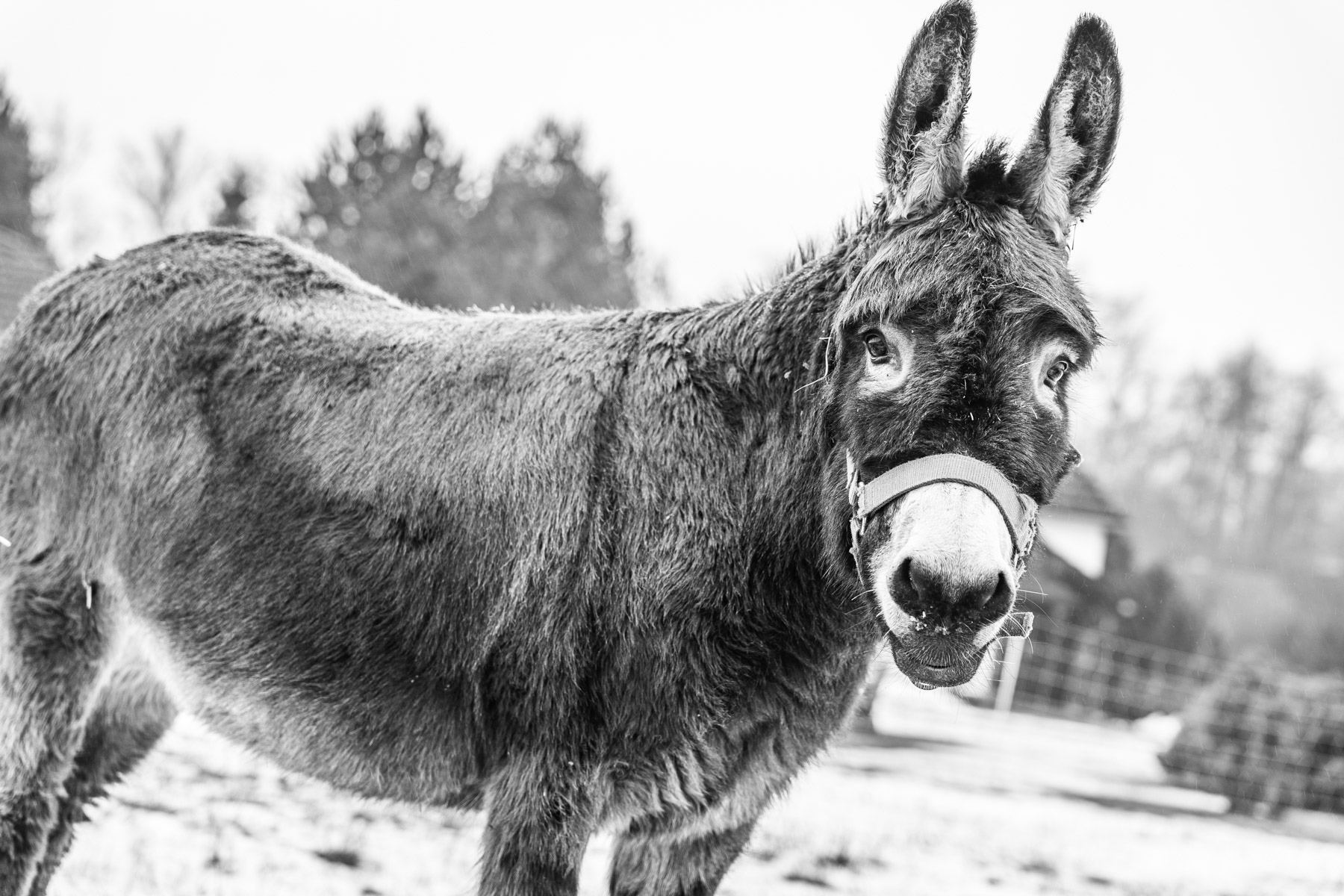 Přitahovat, angažovat, potěšit.